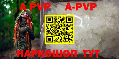 прущие крисы Кингисепп