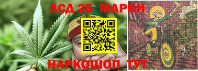 прущие крисы Кингисепп