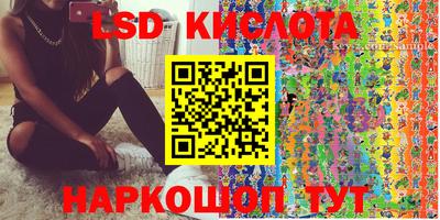 прущие крисы Кингисепп