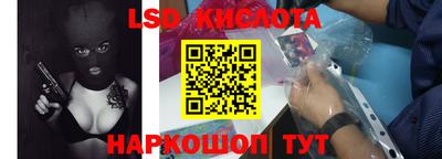 прущие крисы Кингисепп