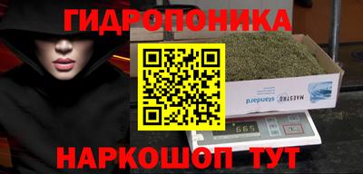 прущие крисы Кимры