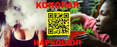 прущие крисы Кингисепп