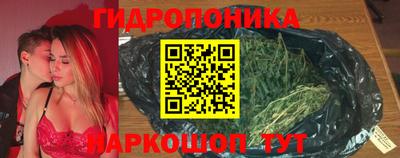 прущие крисы Кимры