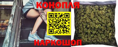 прущие крисы Кингисепп