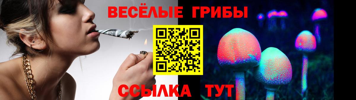 Киселёвск  Галлюциногенные грибы прущие грибы  Вход с VPN  Псилоцибиновые грибы мухоморы 